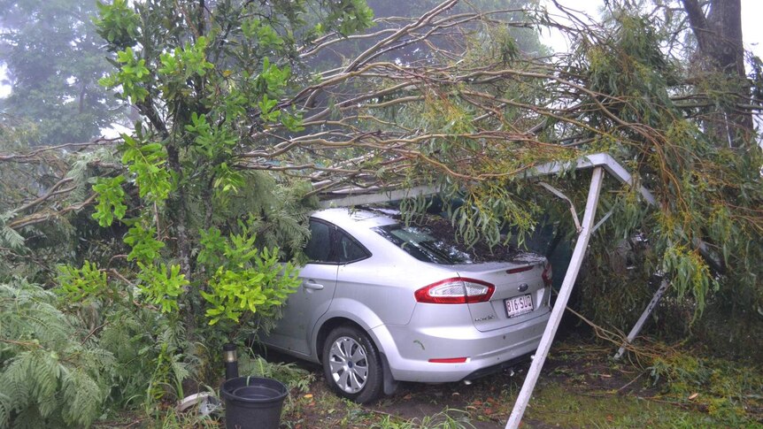 Car port crushed from falling trees in Beaudesert during storms
