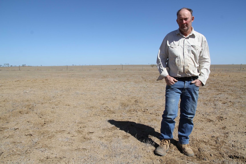 A picture of Peter Crombie standing in the paddock which has been eaten by grasshoppers