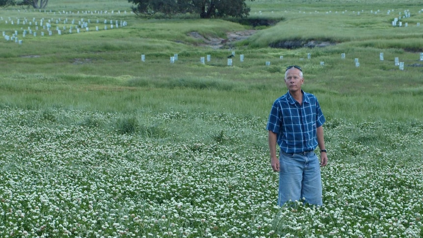 A man stands in a field.