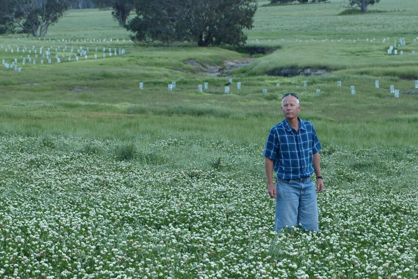 A man stands in a field.