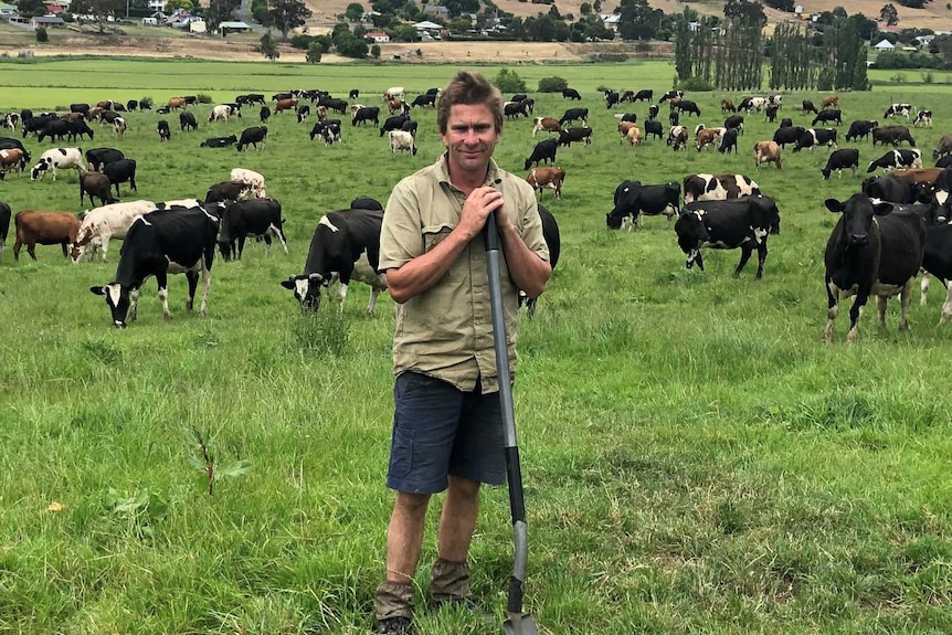 Tasmanian dairy farmer David Jones stands in front of a paddock of cows.
