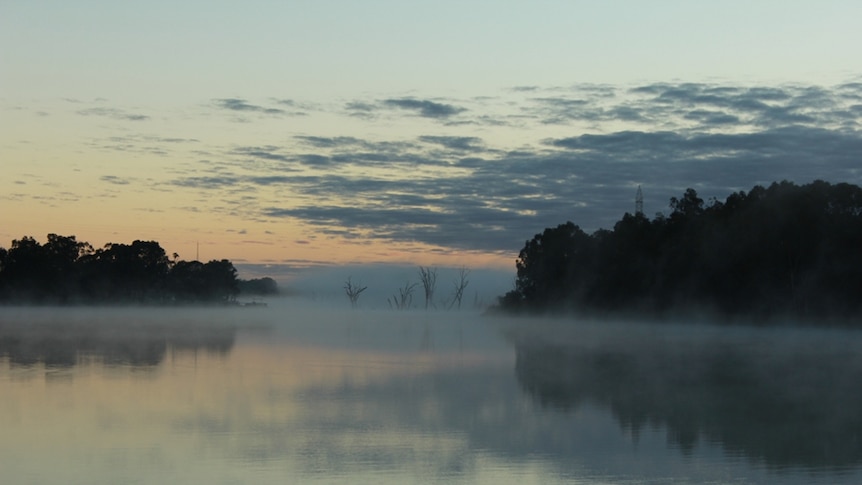Fog on the River Murray, South Australia