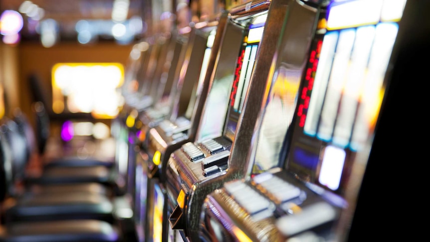 A row of poker machines stretch out into the distance. No one is sitting on the black seats in front of the machines.