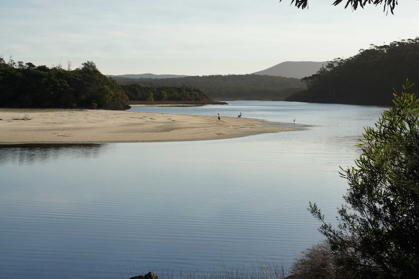 Nadgee River