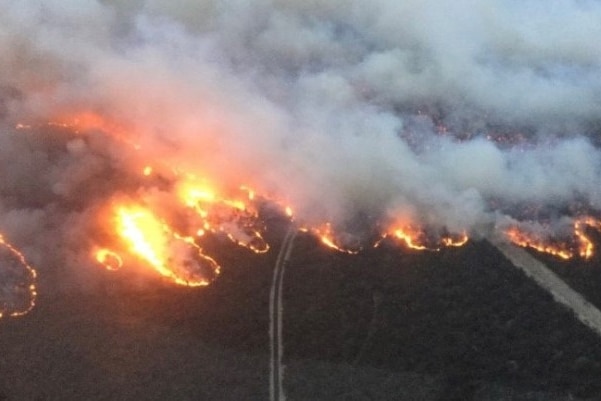 The fire front in Gippsland, Victoria.