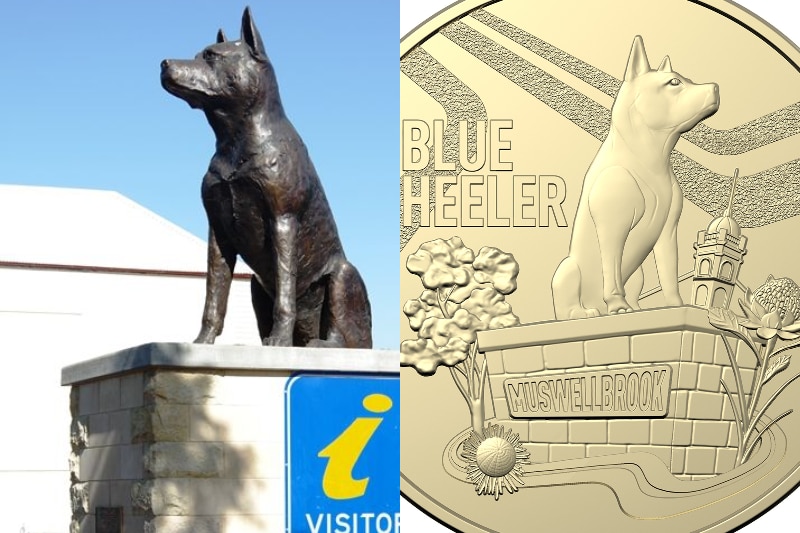 A big dog sculpture beside a gold coin feature a dog. 