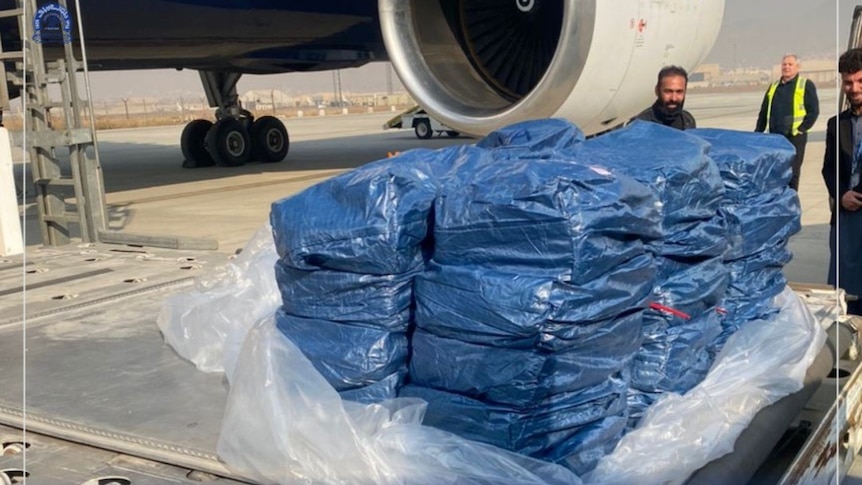 Blue bags of cash sit on an airport tarmac 