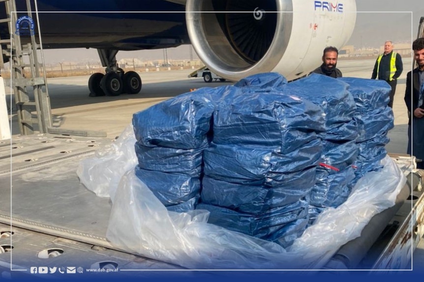 Blue bags of cash sit on an airport tarmac 