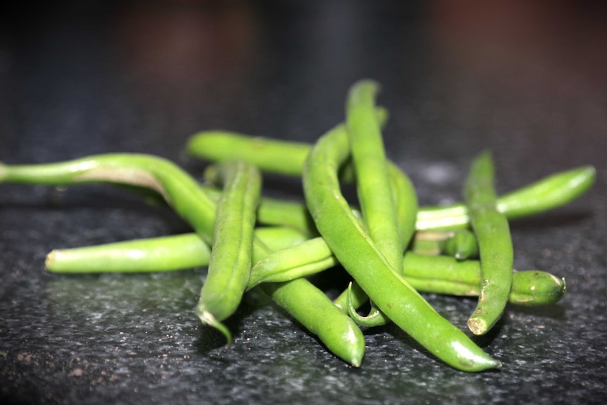 Green beans on a dark bench, representing a DIY vegetable garden that doesn't require a backyard.