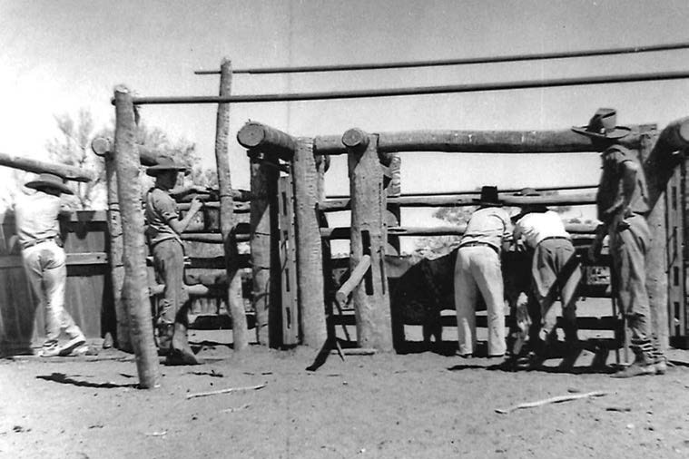 Ringers overlooking the drafting yards on the station. They were used for branding steers and spaying cows. 