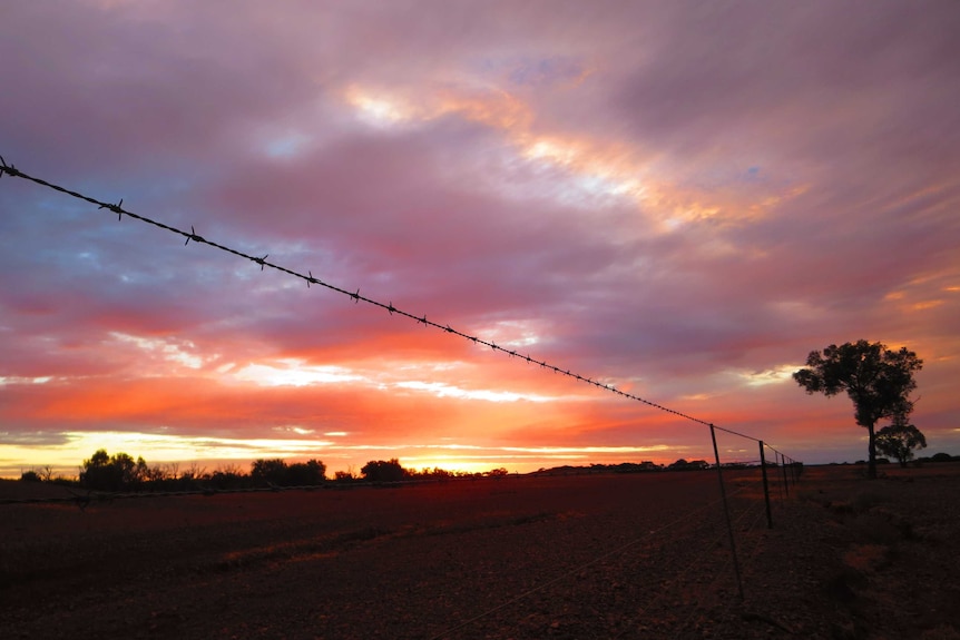 A sunset near Winton, Queensland