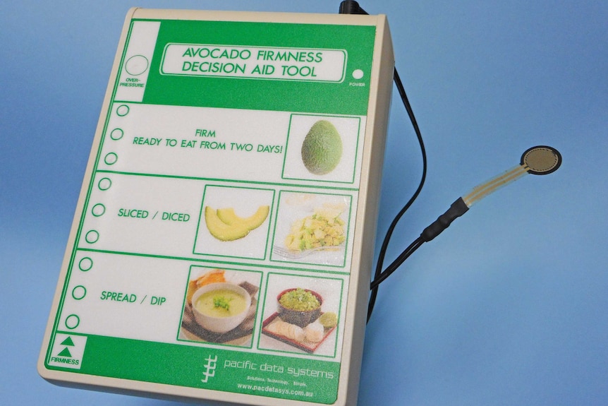 Avo ripeness testing device