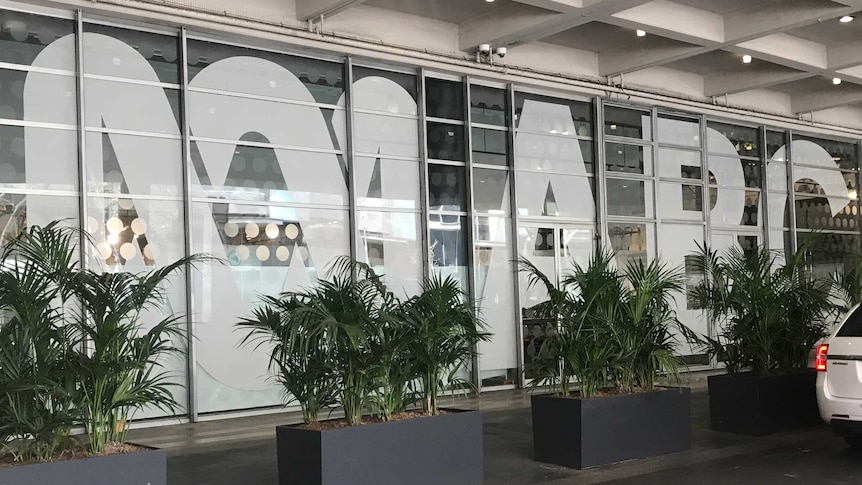 The ABC logo and large white lettering on glass windows with plants in front.