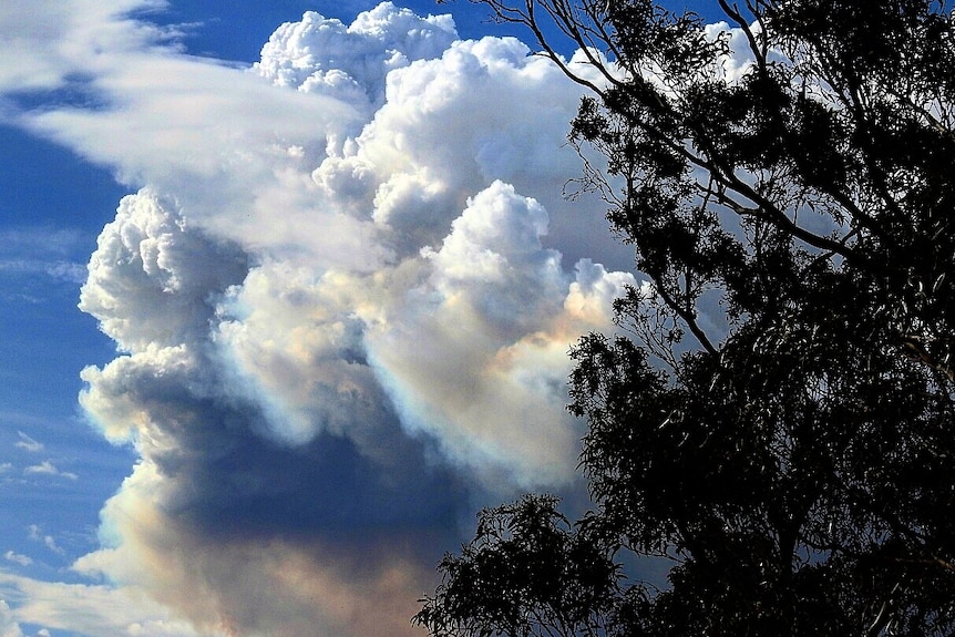 Smoke from the Pelham fire in the sky