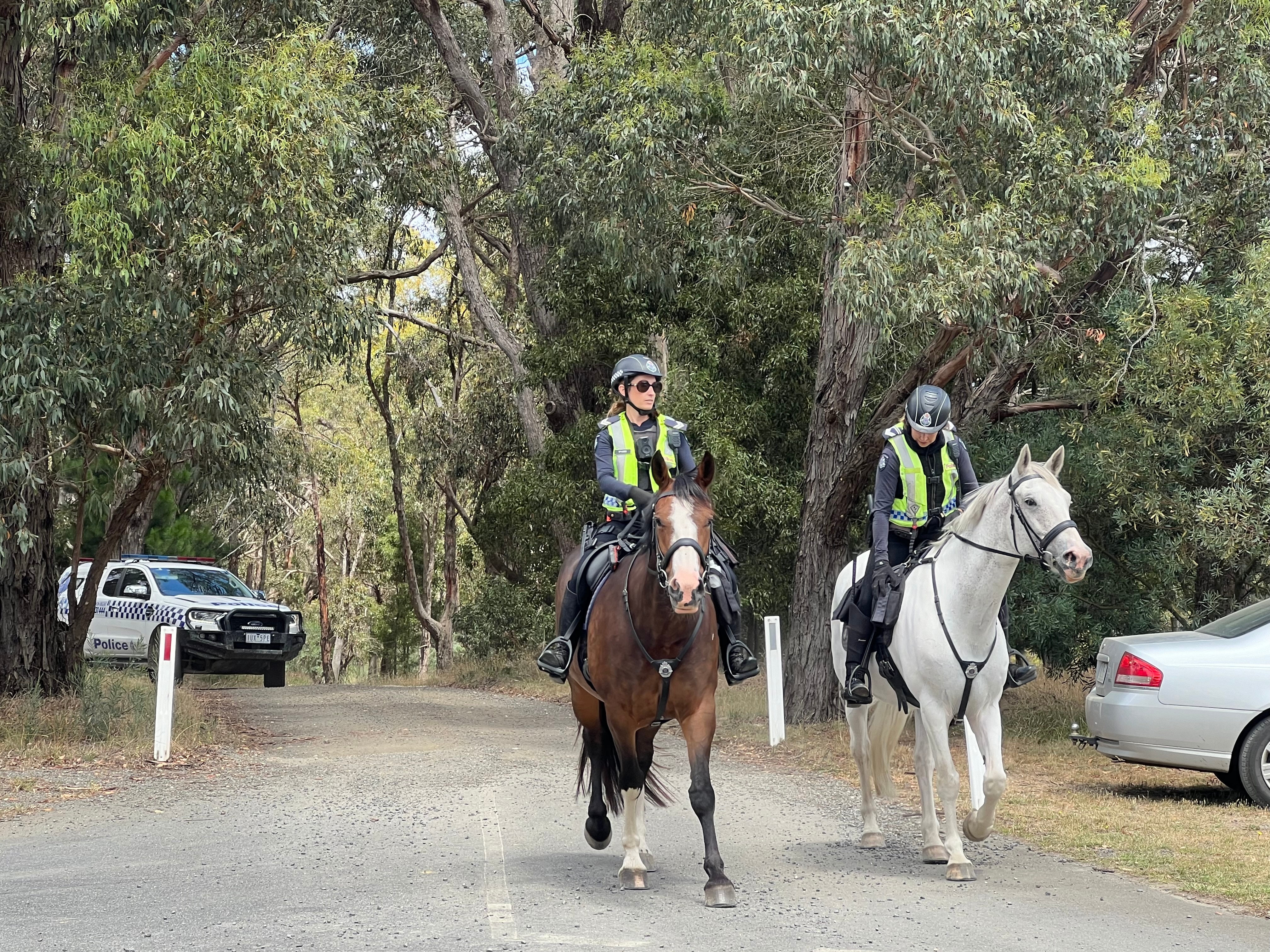 Two police officers riding on horses down a bush road, police vehicle in background