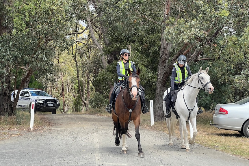 Two police officers riding on horses down a bush road, police vehicle in background