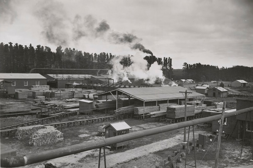 A black-and-white photo of a timber mill with with steam coming from its chimneys.