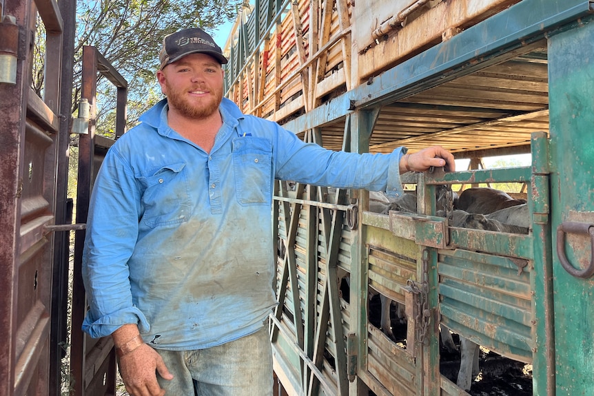 Farmer in blue workshirt with one hand rested on a truck with cattle in it