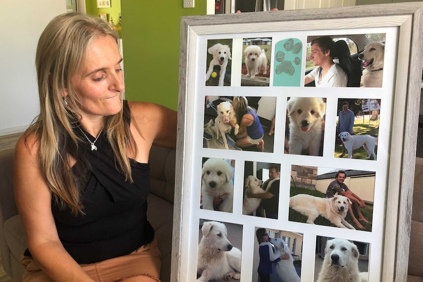 Shirley Benn looks at photos of her dog