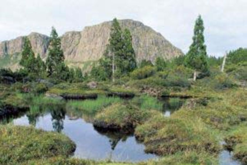 Walls of Jerusalem National Park Tasmania (Tourism Tasmania website)