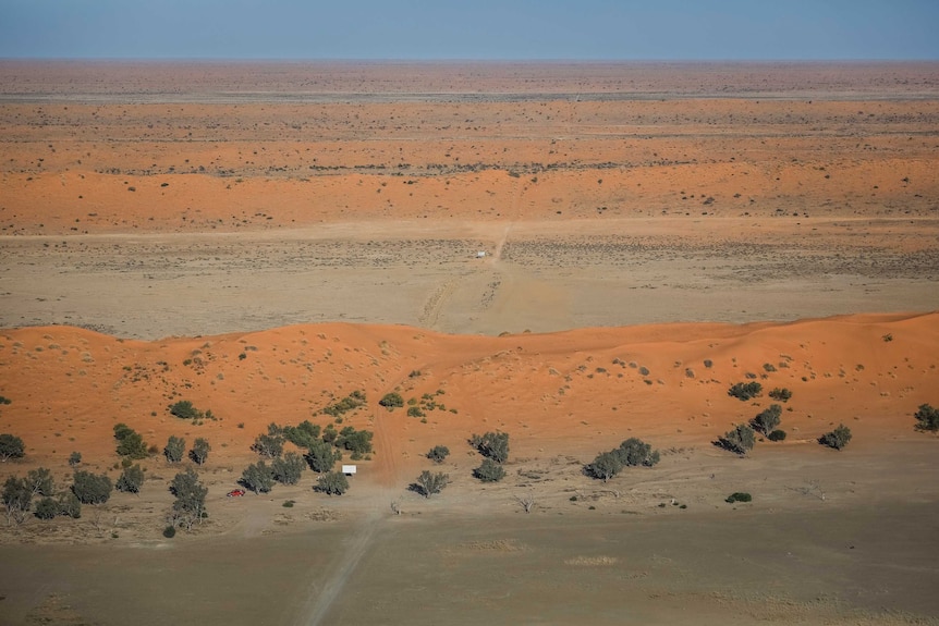 An aerial view of red sand dunes scattered with trees, and a dirt road cuts across the dunes towards the blue sky horizon.