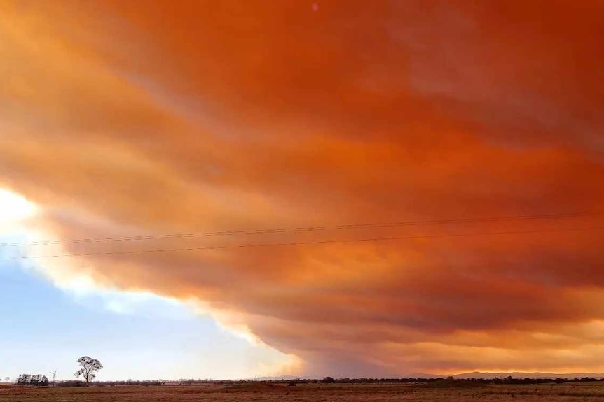 Red clouds from a bushfire above farmland in East Gippsland.