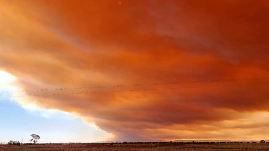 Red clouds from a bushfire above farmland in East Gippsland.