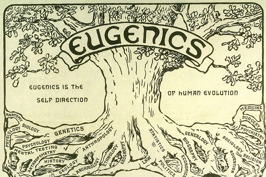Eugenics tree