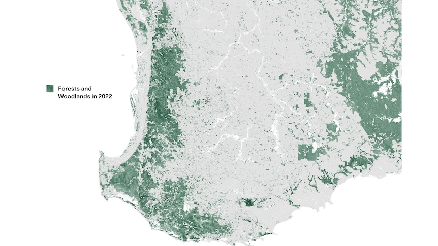 South West WA forests and woodlands in 2022