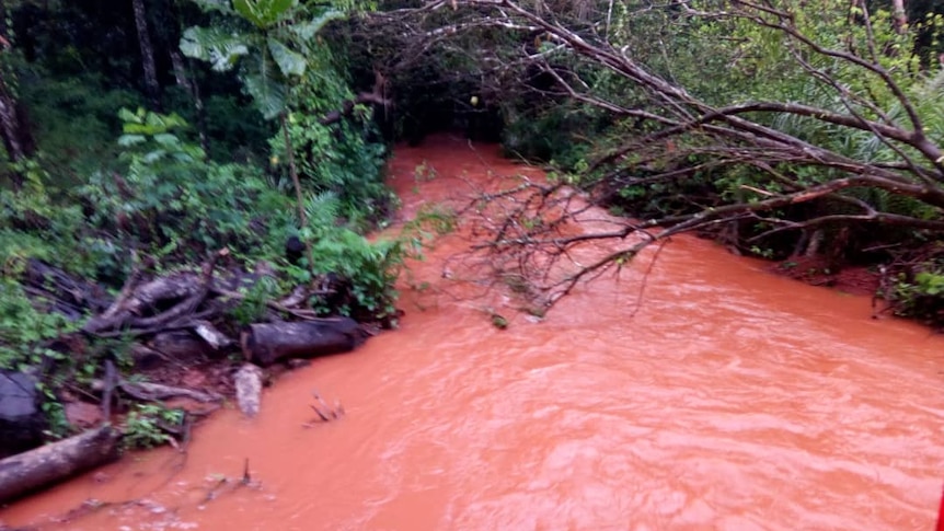 Pinkish orange water in river with trees and green plants on river bank.