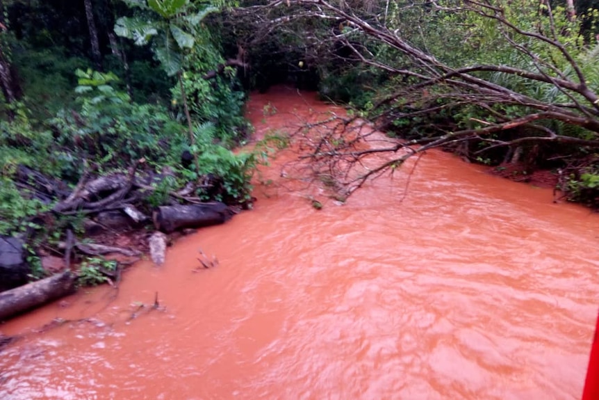 Pinkish orange water in river with trees and green plants on river bank.