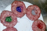 Glitter meatballs ready to be given to polar bears at a zoo.