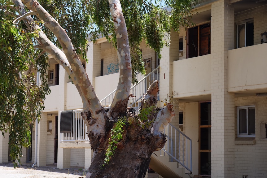 An empty, white, run-down, double storey hotel building with a large tree in front of it, on a sunny day. 
