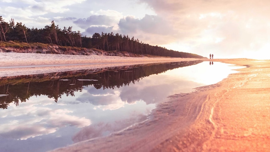 Plaża w Mrzeżynie, Mrzeżyno, on the Baltic Sea coast of Poland (Unspalsh: Tomasz Filipek)