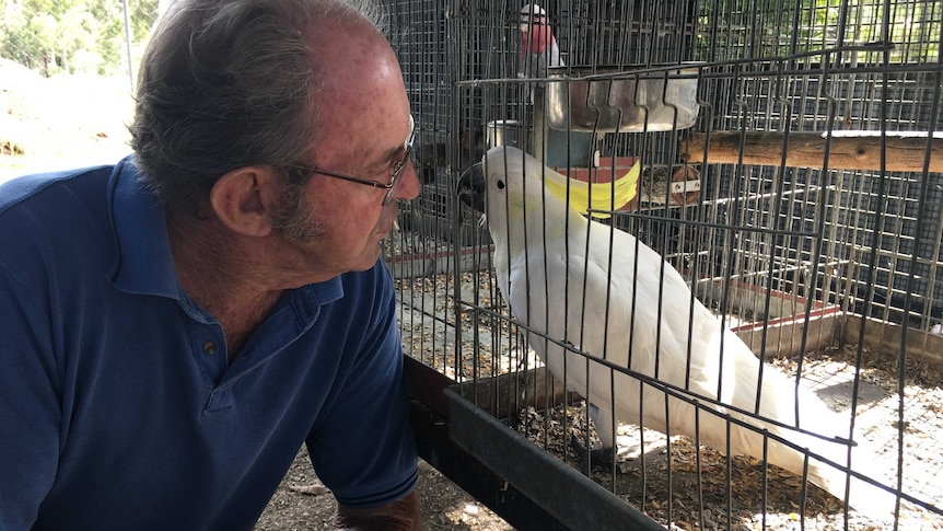 Ken Banks talking to a white cockatoo in an aviary