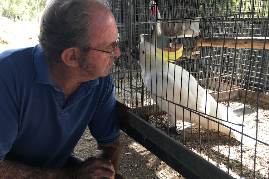 Ken Banks talking to a white cockatoo in an aviary