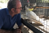 Ken Banks talking to a white cockatoo in an aviary