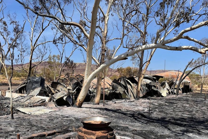 burnt debris sits beneath a trees on thee edge of desert