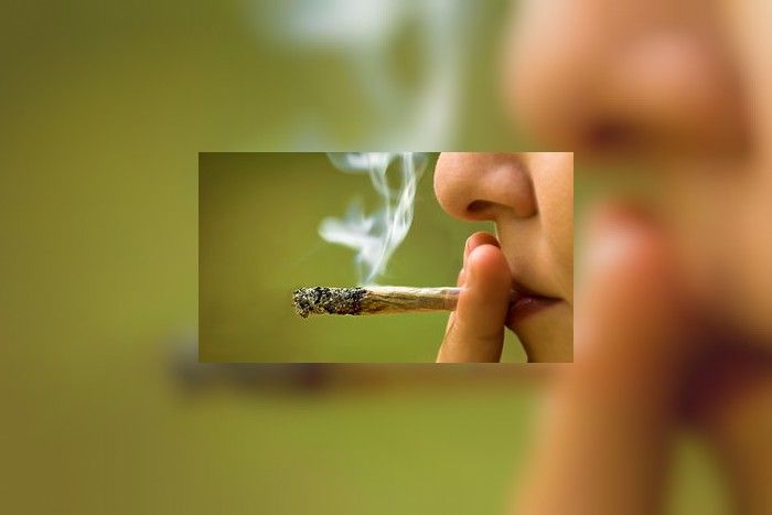 peppermint dip tobacco Mint ZERO Pouches | 5-Can Roll – Nicotine-Free Tobacco-Free Alternative