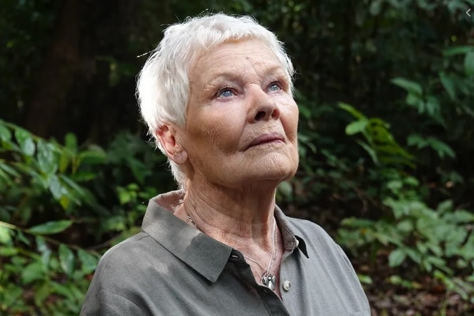 Dame Judi Dench looks upwards towards the sky.