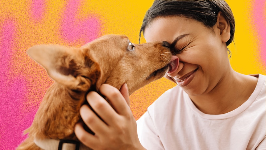 A person with straightened dark hair tied up scrunches their face in glee as a tan dog licks it.