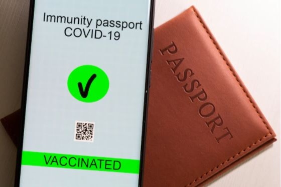 A leather passport holder sits underneath a smartphone with 'immunity passport COVID-19' on the screen
