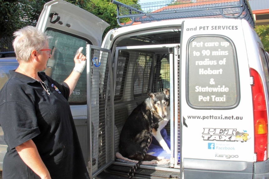 Catherine with Aaron the service dog in the taxi