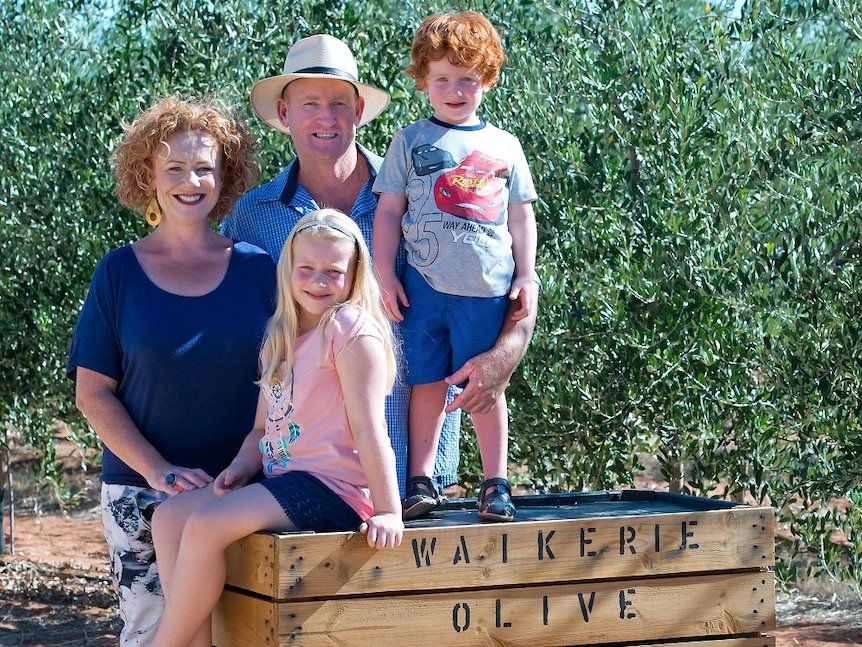 Olive growing family in Waikerie standing in front of olive trees.