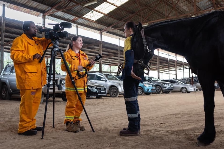 Doody operating camera and Reardon holding microphone interviewing woman standing in front of horse.