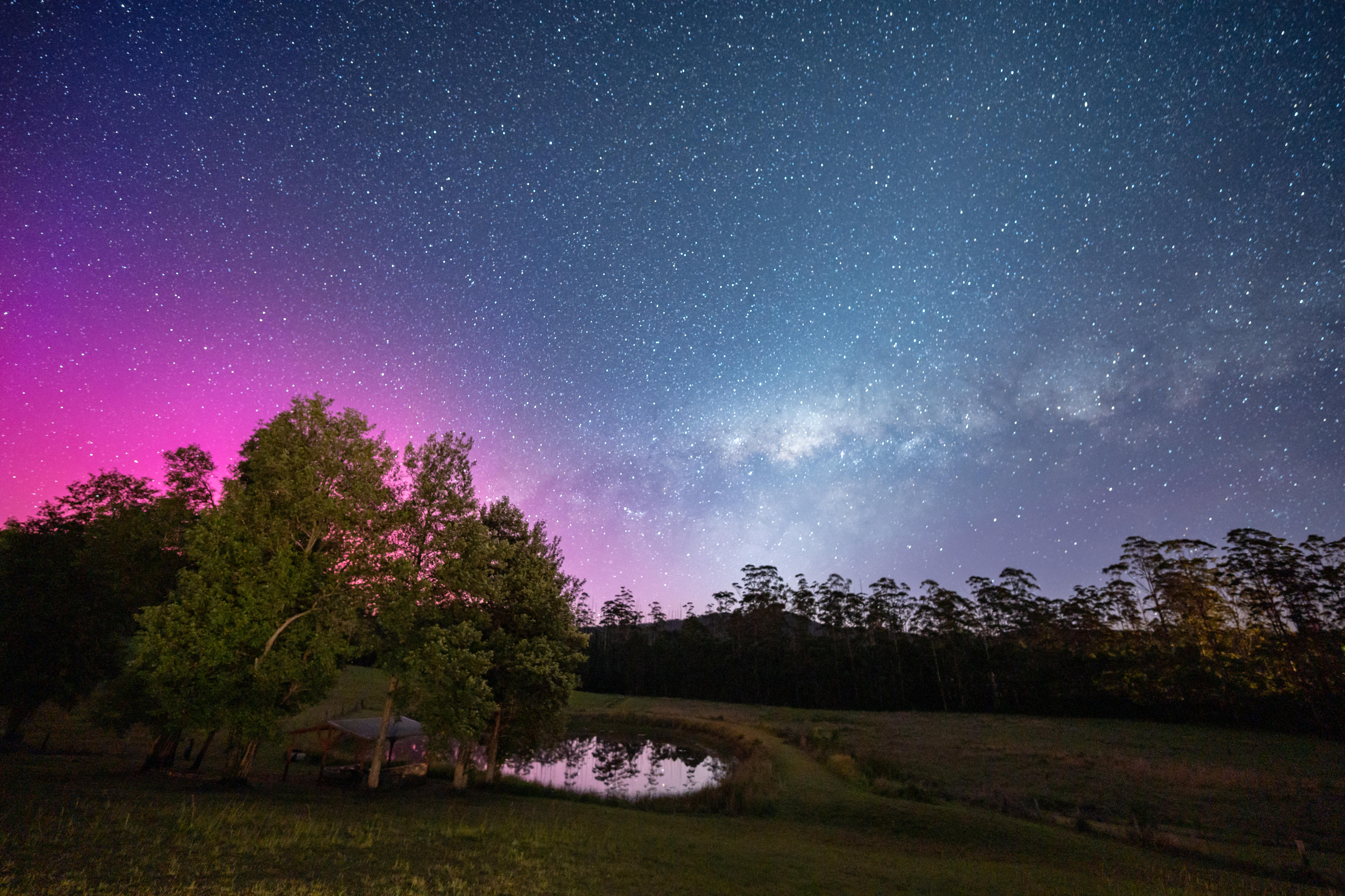 Um céu rosa e azul cercado por árvores.