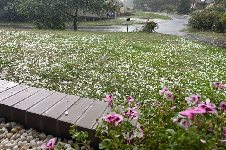 Hail on the ground