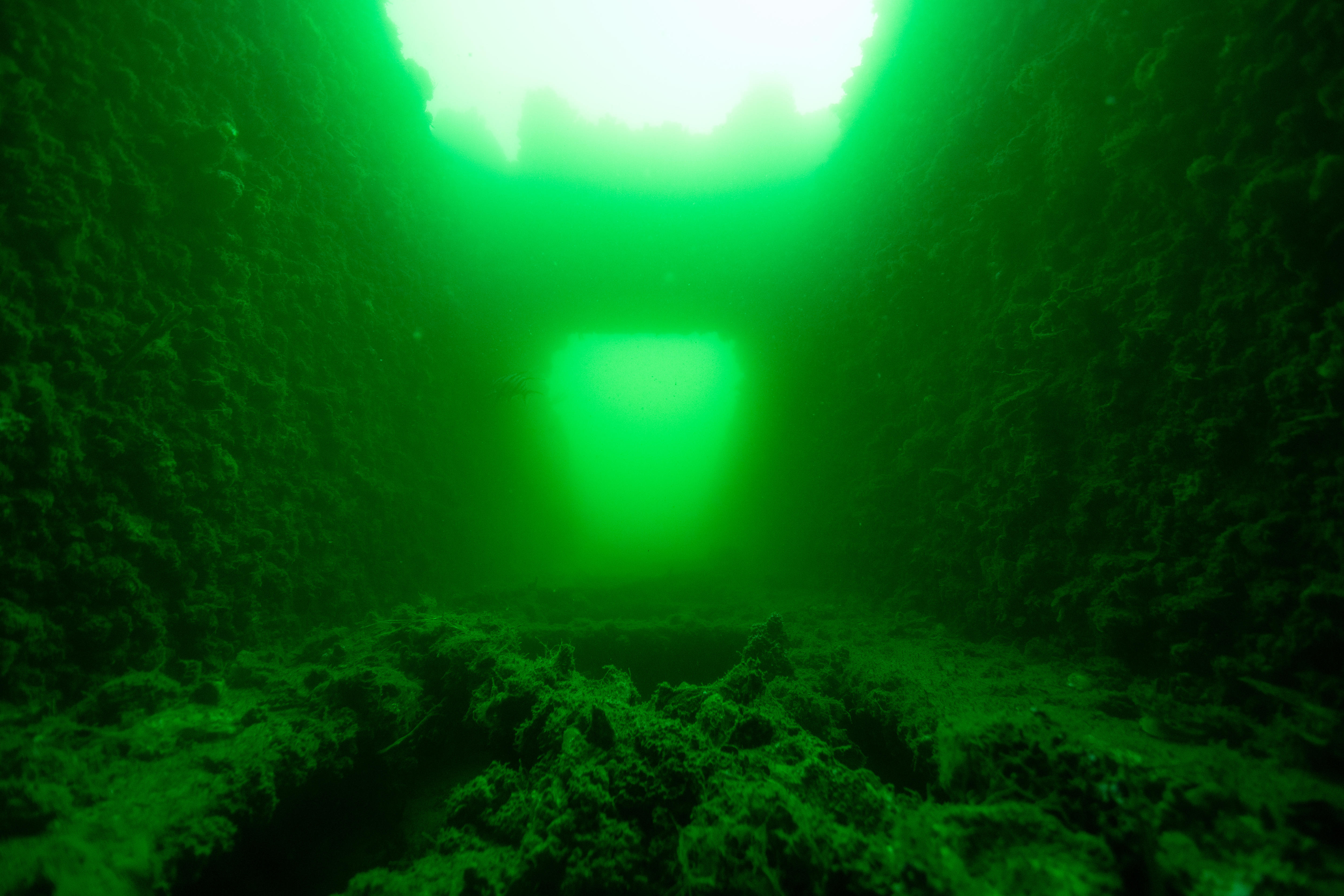 Un naufragio oxidado bajo el agua rodeado de agua verde y turbia