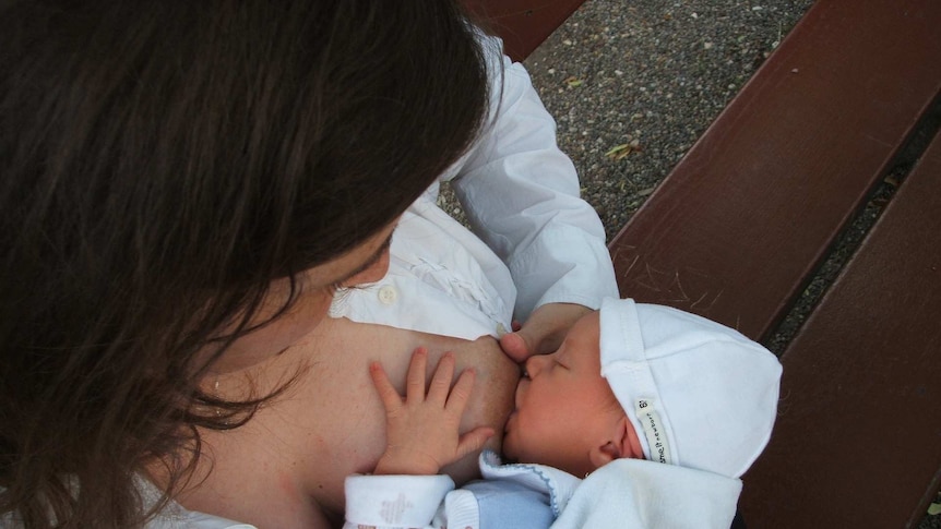 we are looking from above as a dark haired mother breast feeds her newborn baby on a park bench