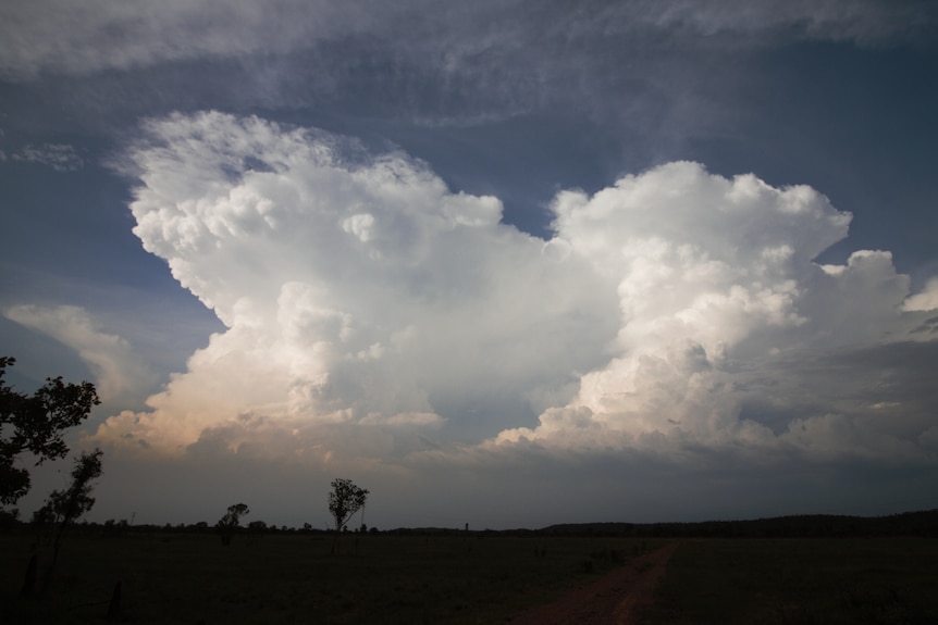 Big cumulonimbus cloud